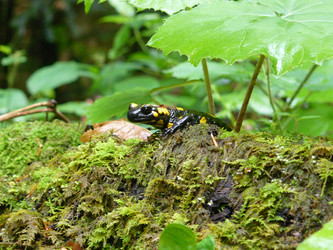 Similar image 688774