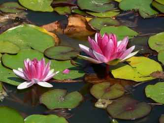 Similar image 688778