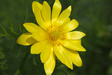 Similar image 688779