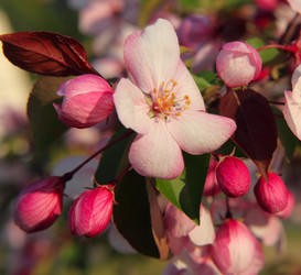 Similar image 688782