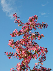 Similar image 688784