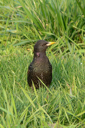 Similar image 688788