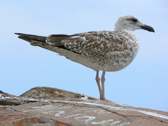 Similar image 688792