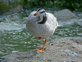 Similar image 688798