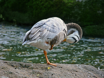 Similar image 688803