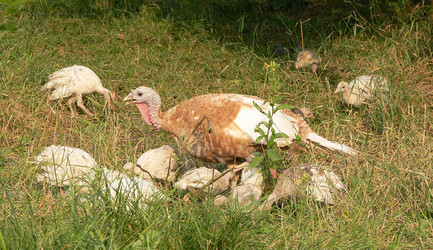 Similar image 688805