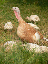 Similar image 688807