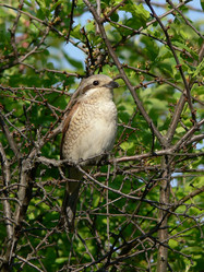 Similar image 688808