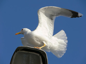 Similar image 688810