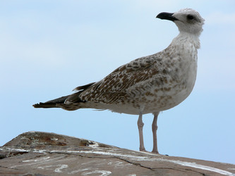 Similar image 688811