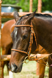 Similar image 688815