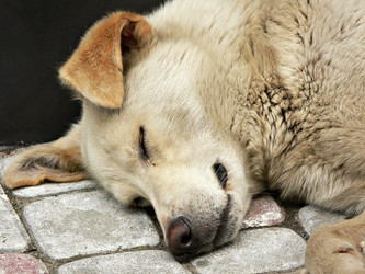 Similar image 688816