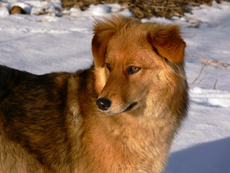 Similar image 688817