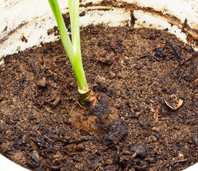 Similar image 688820