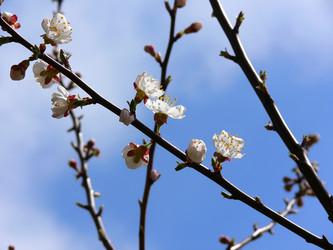 Similar image 688821