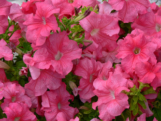 Similar image 688823