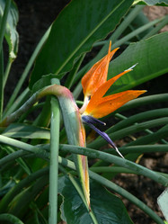 Similar image 688829