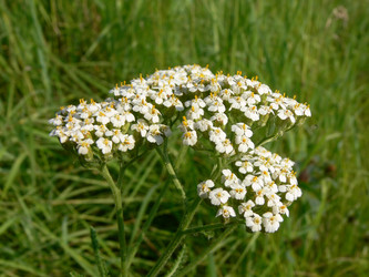 Similar image 688836