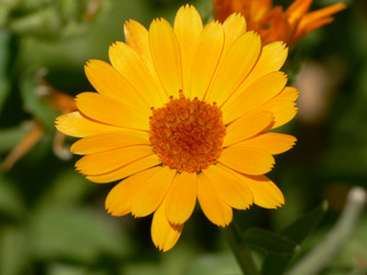 Similar image 688837