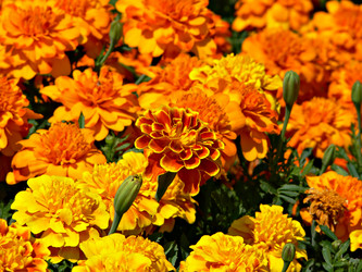 Similar image 688839