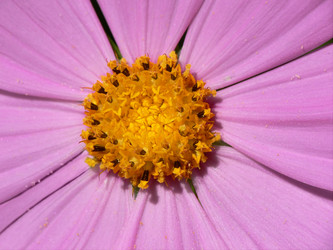 Similar image 688842