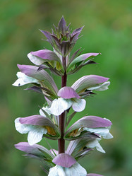 Similar image 688844