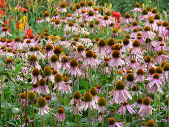 Similar image 688845