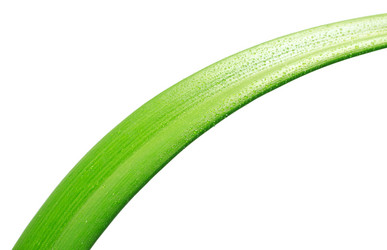 Similar image 688847