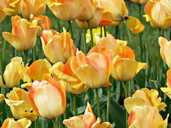 Similar image 688848