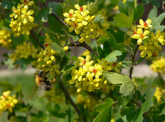 Similar image 688849