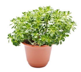 Similar image 688851