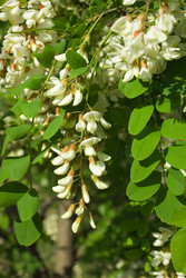 Similar image 688852