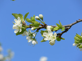 Similar image 688854