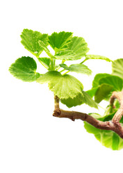 Similar image 688855