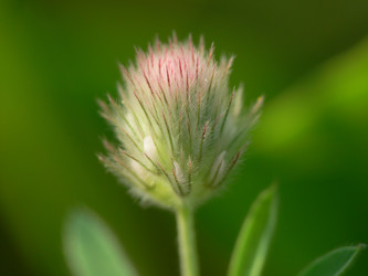 Similar image 688856