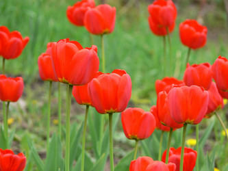 Similar image 688857