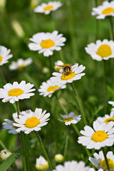 Similar image 688859