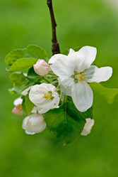 Similar image 688864