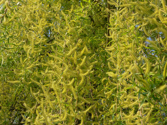 Similar image 688870