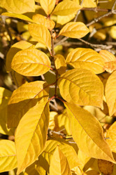 Similar image 688887