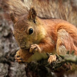 Similar image 688919