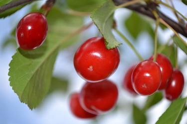 Similar image 688924