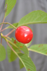 Similar image 688925