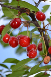 Similar image 688926