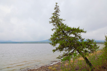 Similar image 688929