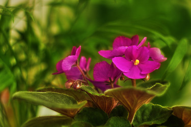 Similar image 688949