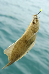 Similar image 688958