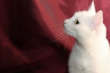 Similar image 689083