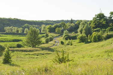 Similar image 689102