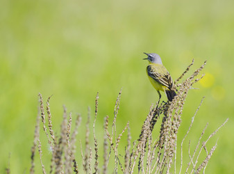 Similar image 689105